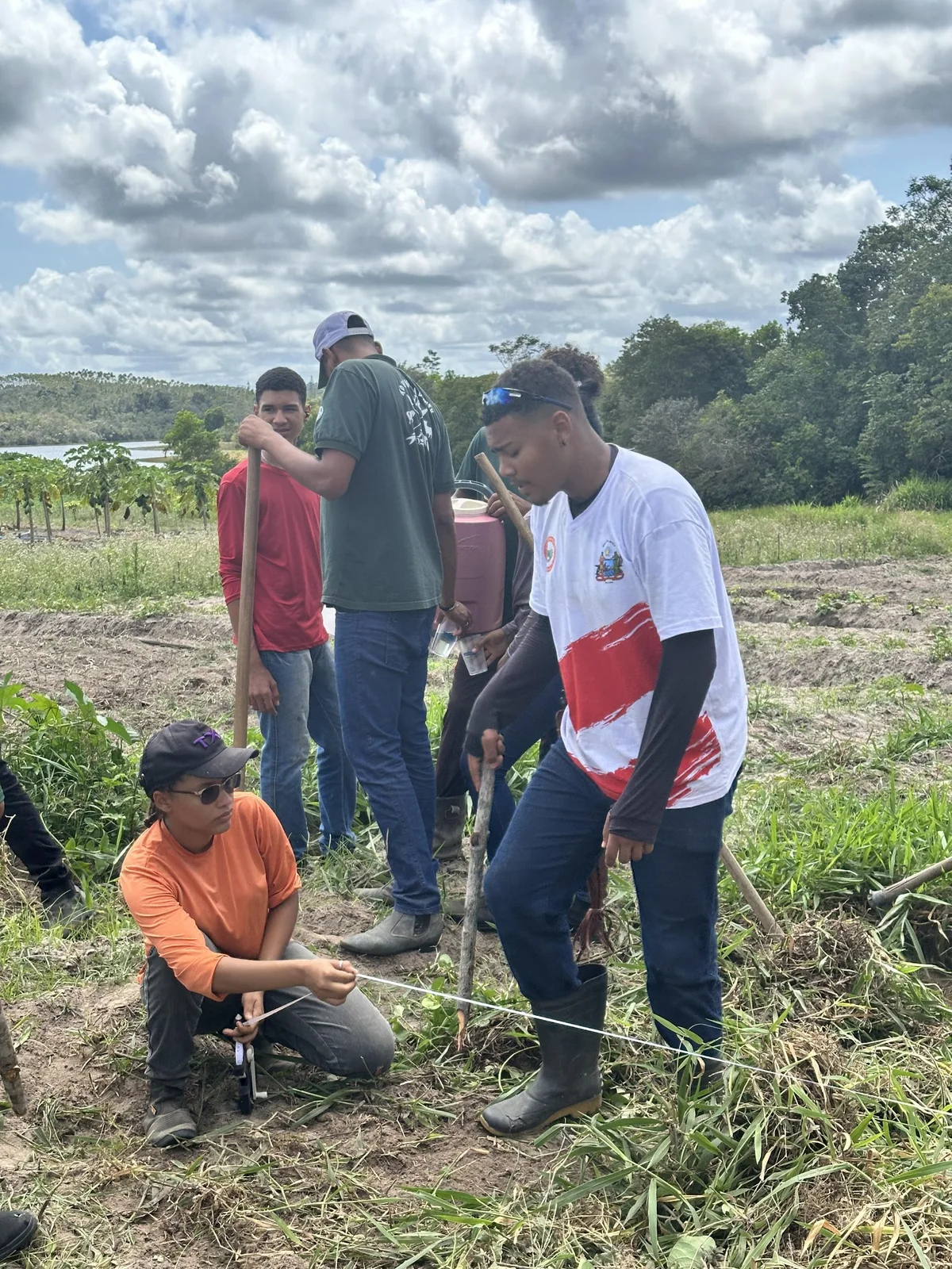 Implantação do Sistema Agroflorestal (SAF)